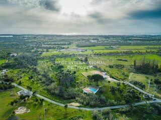-69034751_DJI_0557_1744889449331.jpg
