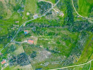 -69034751_DJI_0567_1744889449335.jpg