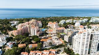-69034808_1_Avilez_2B104-03_1725894779954_1729262914758.jpg