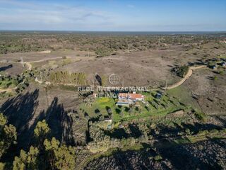 -69034899_DJI_0172_1732459423693.jpg