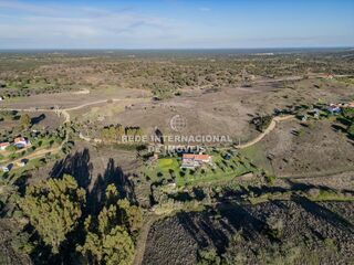 -69034899_DJI_0174_1732459423694.jpg