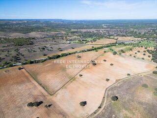 -69035160_DJI_0114_1732459525670.jpg