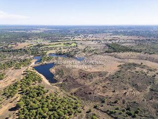 -69035160_DJI_0124_1732459525671.jpg