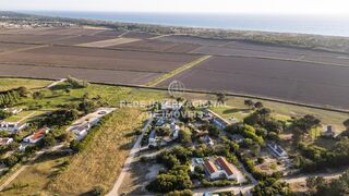 -69036478_DJI_0222_1747137570165.jpg
