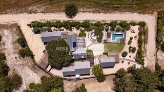 -69036478_DJI_0323_1747137570185.jpg