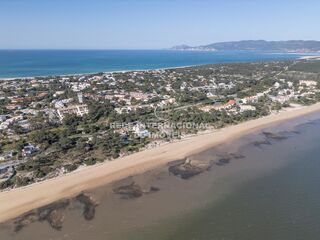 -69036597_DJI_0409_1744887396985.jpg