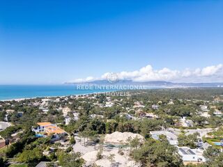 -69036768_DJI_0598_1745186646403.jpg