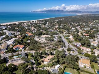 -69036768_DJI_0603_1745186646405.jpg