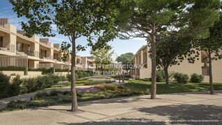 -69037030_Caminhos_Paths_01_1724057644958.JPG