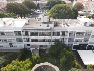 -69037040_DJI_0219_1691598432412.JPG