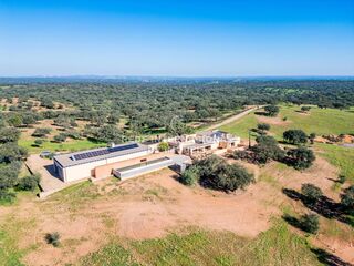 -69037133_49_DJI_0204_1708085296785_1748273264999.jpg
