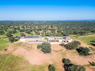 -69037133_50_DJI_0206_1708079571015_1748273264999.jpg