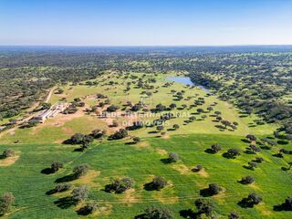 -69037133_51_DJI_0209_1708079571015_1748273265000.jpg