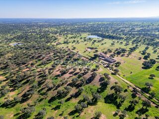 -69037133_52_DJI_0211_1708079571015_1748273265000.jpg