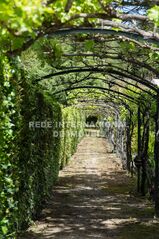 -69037145_julian_marcus_photography-10_1746549592668.jpg