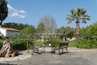 -69037145_julian_marcus_photography-54_1746549592671.jpg