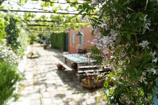 -69037145_julian_marcus_photography-7_1746549133935.jpg