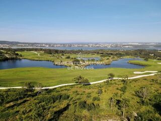 -69037199_golf_1746817495083.jpg