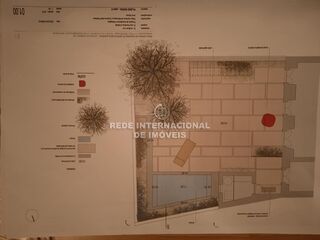 -69037203_IMG_20250128_181518_1748695816874.jpg