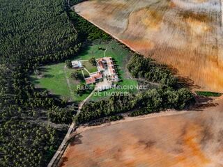 -69037326_DJI_0637_1734613527568.jpg