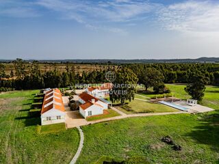 -69037326_DJI_0648_1734613527569.jpg