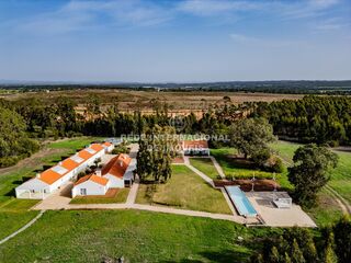 -69037326_DJI_0653_1734613527571.jpg