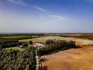 -69037326_DJI_0662_1734613527573.jpg