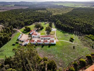 -69037326_DJI_0669_1734613527575.jpg