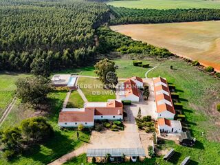 -69037326_DJI_0672_1734613527575.jpg