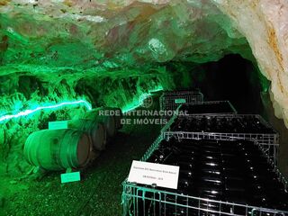 -69037345_17_20-_20_20EST_C3_81GIO_20DE_20ESPUMANTES_20E_20VINHOS_20ALMEIDA_20GARRETT_1705596403436.jpg