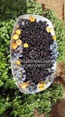 -69037345_FRUTAS_20DO_20POMAR_20DA_20QUINTA_1705596403463.jpg