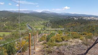 -69037345_paisagem_1705596403465.jpg