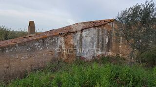 -10190896381_rj84i3khibkjvxavawl5wh.jpeg