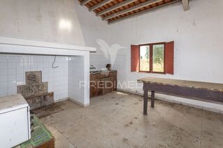 -10194349613_1wcuqagyzib84lhq5ntk4a.jpg