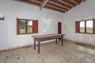-10194349613_tasvevtg93g8v5n30n6wd2.jpg