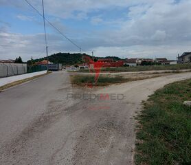 -10203918017_rkuf1xts41h33mn8gr7ak9.jpg