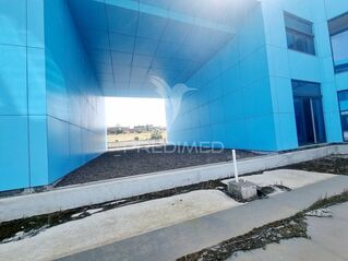 -10204195932_6xini523zbpzx2vy7bfmqg.jpg