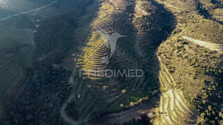 -10204257565_606i2vdm7s6kf6hrwdrwkq.jpg