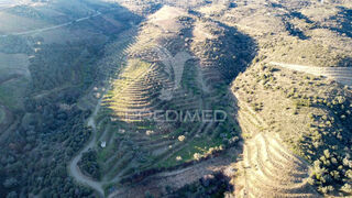 -10204257565_o5552a27giclnhg4etizaq.jpg