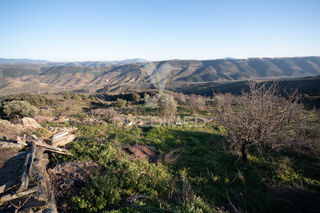 -10204257565_vmy78myu4jpslg9y7v4m7.jpg