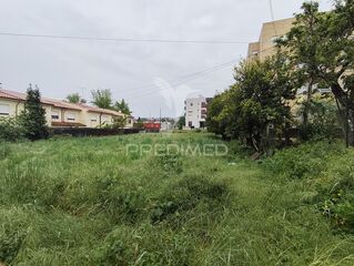 -10237245947_wb1gmdb8nfruwwi5jzwkw.jpg