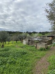 -10237246631_fxou1mz3wh8f19ay9vhg2.jpg