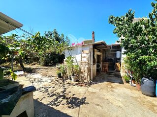 -10240056451_nzn6kk78rvx8hdstrsq2.jpg