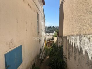 -11148991633_3o6vjkztqsqoaphjrom24p.jpg