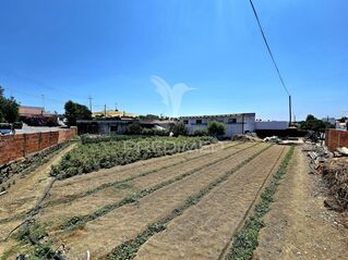 -11163867046_hbadcsnu89bzjaqlup2x5.jpg