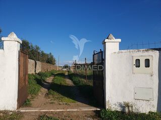 -11164163118_vvcqtl92unbniyndkifgf.jpg