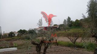 -11193633853_1z325zwrrwwj4l7dcx9ptm.jpg