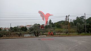 -11193633853_k4kbumxuok9hquxmfc9n9i.jpg