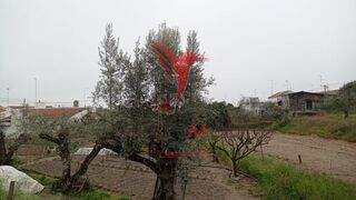 -11193633853_xs6367r6n1dp3352a4nuge.jpg