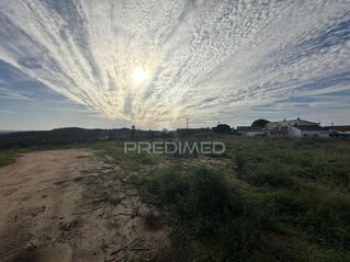 -11194074977_zz6wt4qpxpk8sytwkavan.jpg